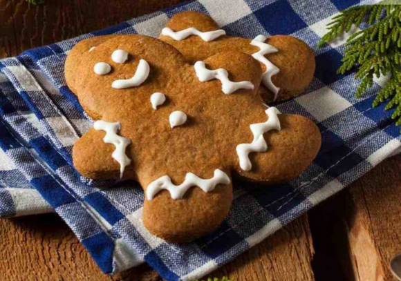 Christmas Cookie Gift Bags - Ginger Series